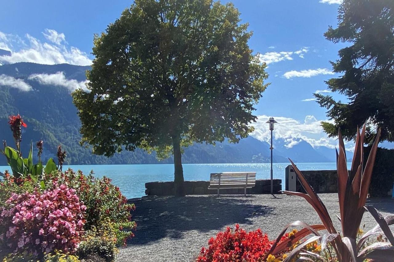 Holiday Apartments Falke Brienz  Kültér fotó